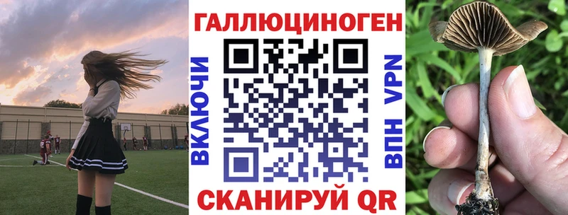 Псилоцибиновые грибы GOLDEN TEACHER  купить наркотики цена  Ужур 